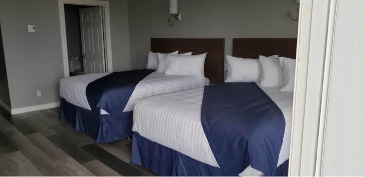 Hotel-Motel Fleur de Lys Perce Buitenkant foto